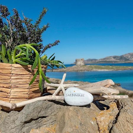 Sardinia Re - Villa Pelosa Stintino Buitenkant foto