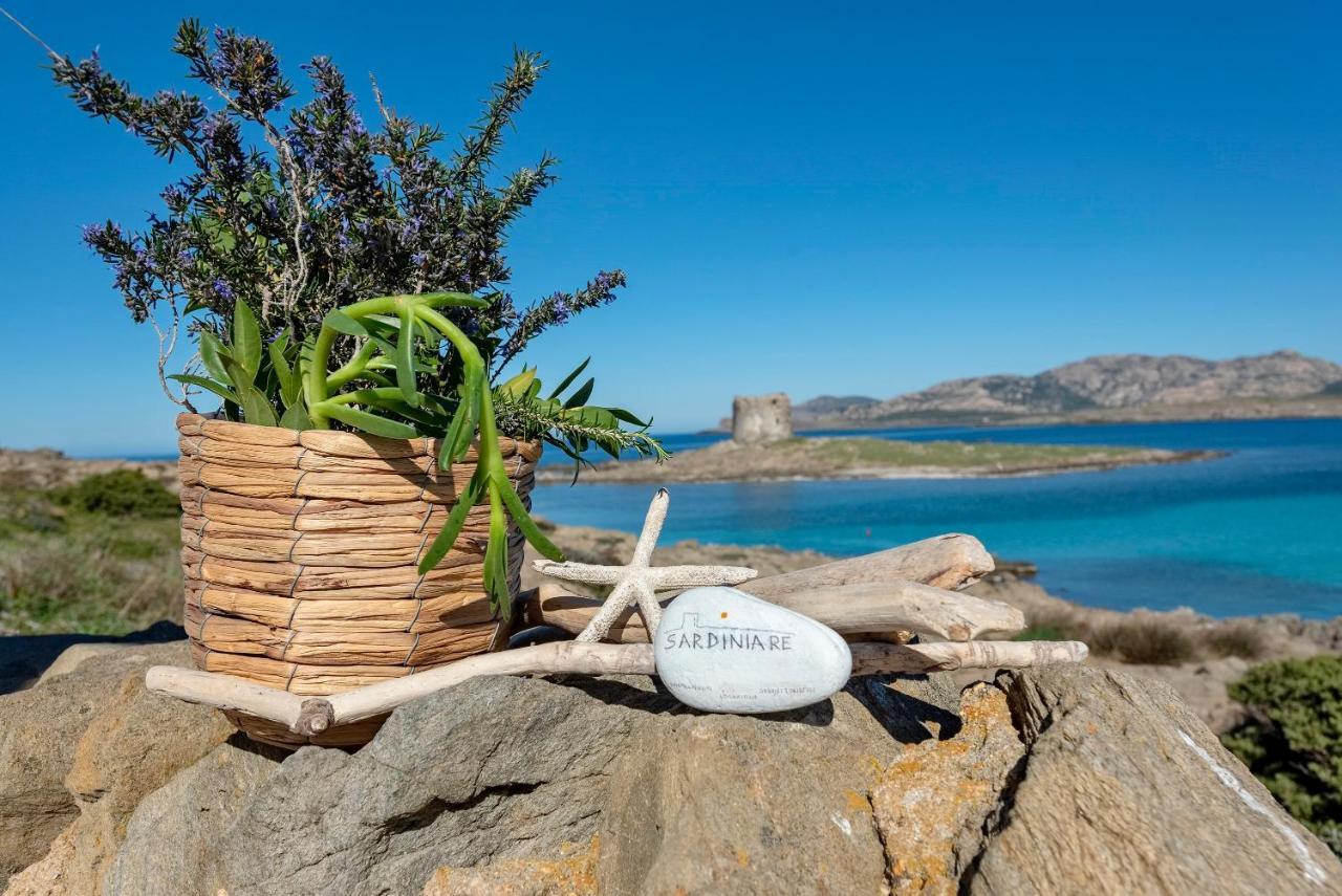 Sardinia Re - Villa Pelosa Stintino Buitenkant foto