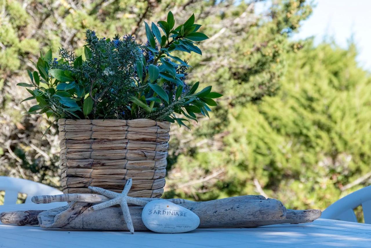 Sardinia Re - Villa Pelosa Stintino Buitenkant foto