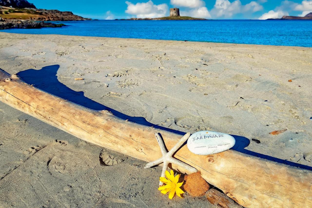 Sardinia Re - Villa Pelosa Stintino Buitenkant foto